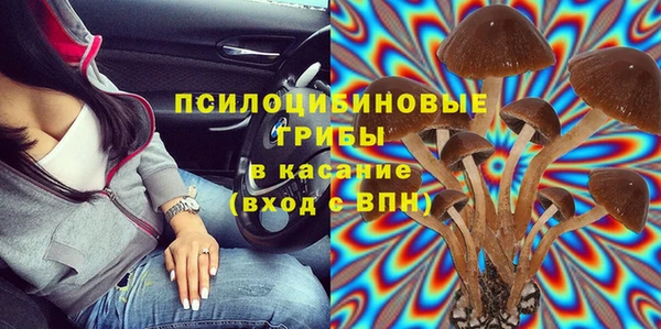 дурь Алзамай