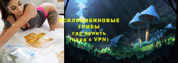 дурь Алзамай