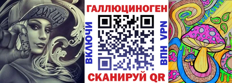 как найти закладки  Новоузенск  Псилоцибиновые грибы GOLDEN TEACHER 